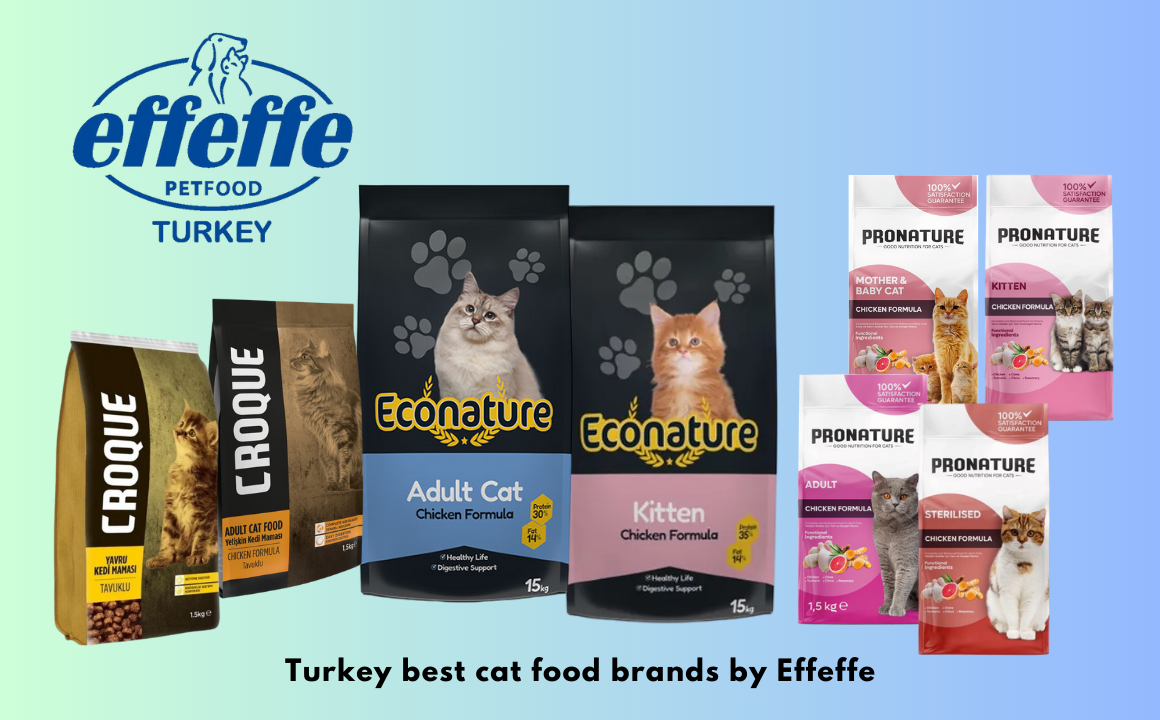 Pronature Croque Econature cat food in Pakistan