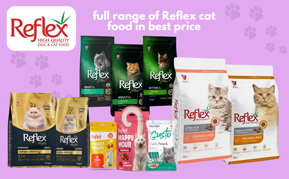 Reflex cat food buy at best price in Pakistan